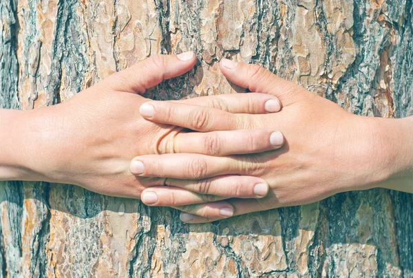 Abrazar un árbol en el bosque — Foto de Stock