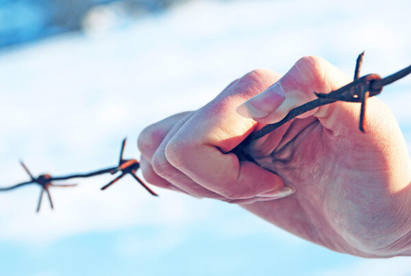 Hand holding a barbed wire