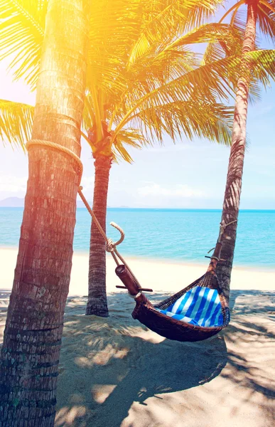 Lege hangmat tussen palmbomen op zandstrand — Stockfoto