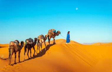 kameel caravan gaan door de duinen in de Saharawoestijn