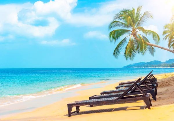 Utsikt över fin tropisk strand med handflator runt. Semester och semester — Stockfoto
