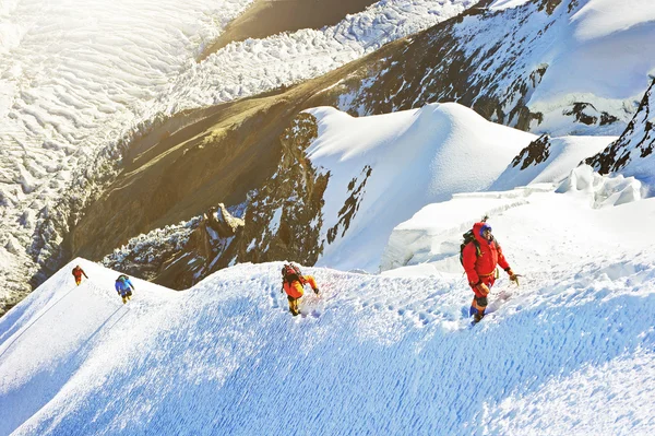 Grupp av klättrare når toppen — Stockfoto