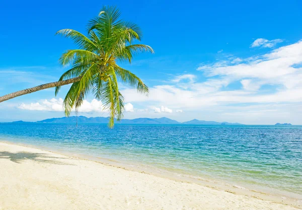 tropikal beach, Tayland - tatil arka plan