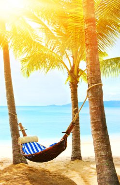 Güzel Maldiv plaj ve hamak. Avuç içi kumlu Plajı'nda arasında boş hamak. Yaz tatil ve tatil kavramı.