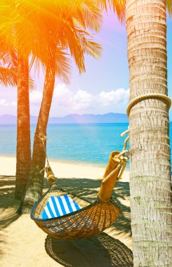 avuç içi ağaçlar arasında boş hamak