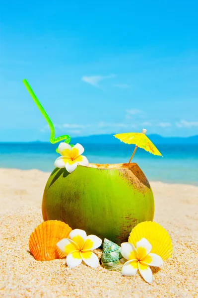 Пляж океану з пальмою та екзотичним коктейлем. — стокове фото