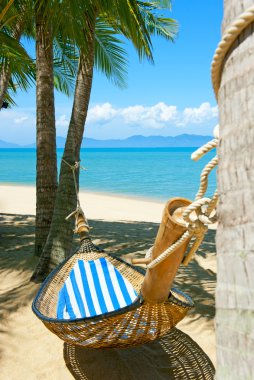 Kumsaldaki palmiye ağaçları arasında boş hamak.