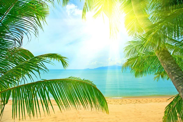 Praia tropical na Tailândia - fundo de férias — Fotografia de Stock