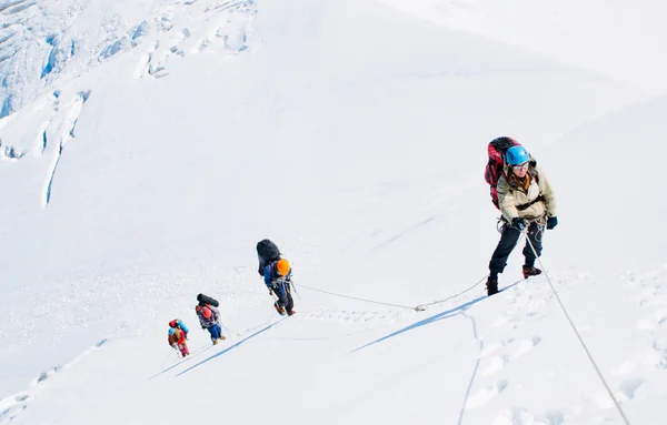 Grupo de escaladores que llegan a la cumbre — Foto de Stock