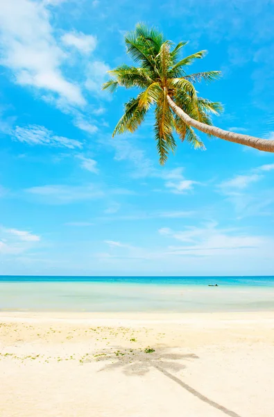 Plage tropicale en Thaïlande - arrière-plan de vacances — Photo