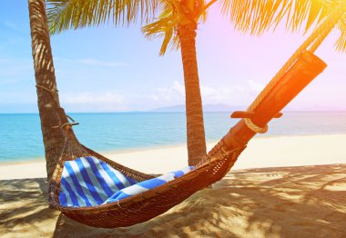 avuç içi ağaçlar arasında boş hamak