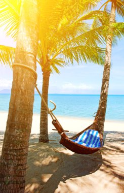 Kumsaldaki palmiye ağaçları arasında boş hamak.