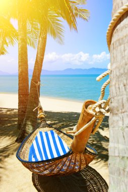 Kumsaldaki palmiye ağaçları arasında boş hamak.