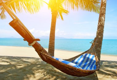 avuç içi ağaçlar arasında boş hamak