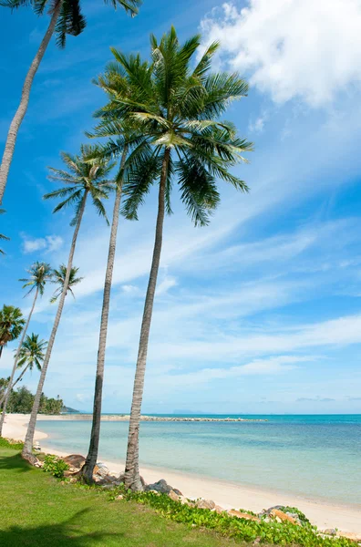 Tropisch strand - vakantie achtergrond — Stockfoto