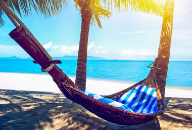 avuç içi ağaçlar arasında boş hamak