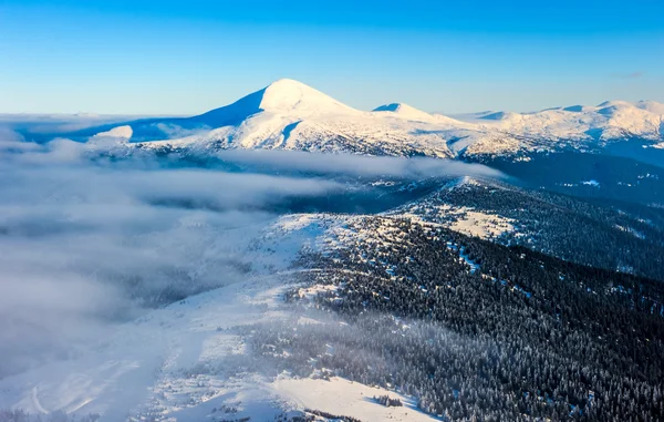 Winterliche Berglandschaft mit Feldweg. Ukraine, Karpaten — Stockfoto