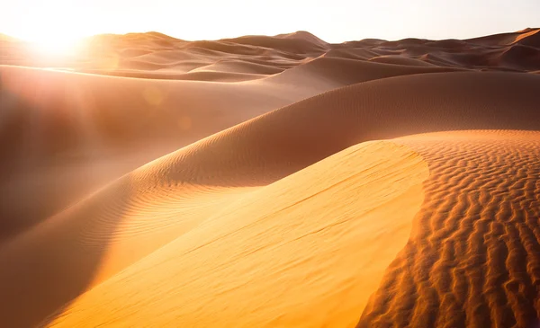 Mooie zandduinen in de Sahara woestijn — Stockfoto
