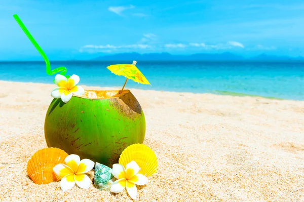 Тропічний свіжий кокосовий коктейль на білому пляжі — стокове фото