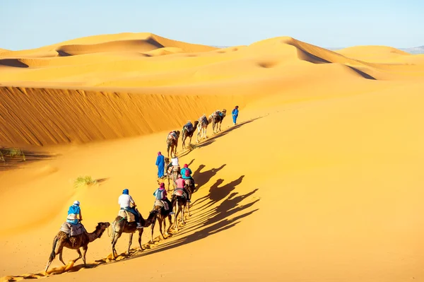 Caravana con beduinos y camellos en dunas de arena en el desierto a los soles Imagen de archivo