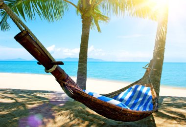 avuç içi ağaçlar arasında boş hamak