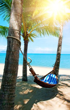 Kumsaldaki palmiye ağaçları arasında boş hamak.