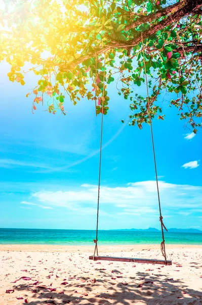 Altalena appesa al cocco sulla spiaggia — Foto Stock