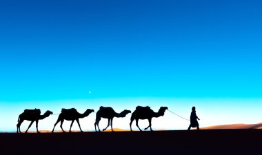 Sahara üzerinde deve karavan