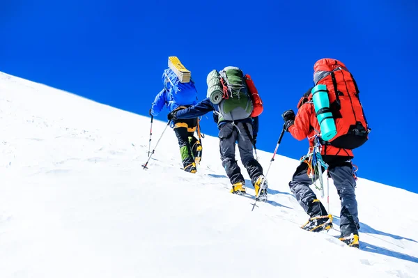 Grupp av klättrare når toppen. — Stockfoto