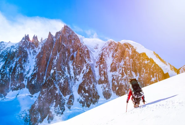 Группа альпинистов достигла вершины — стоковое фото