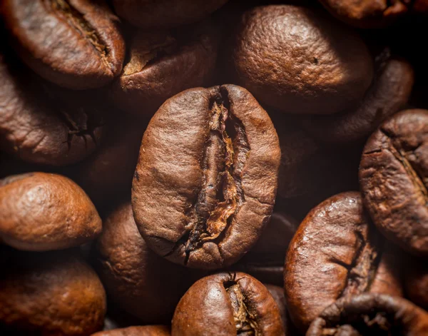 Chicchi di caffè primo piano — Foto Stock