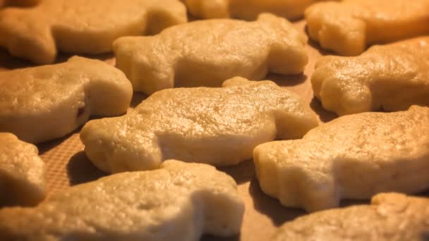 Time lapse galletas para hornear — Vídeos de Stock