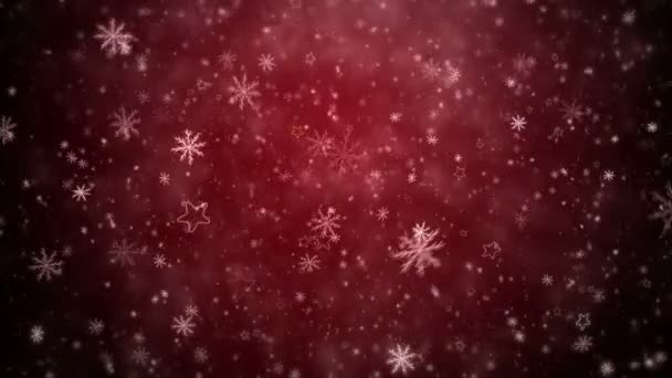 Winter Christmas background — Stock Video