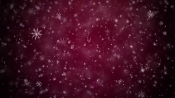 Caída de copos de nieve y estrellas — Vídeo de stock