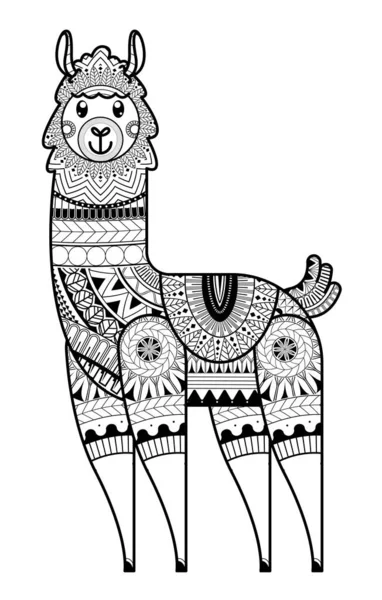 Alpaca Desenhada Mão Com Página Coloração Floral Étnica Design Para — Vetor de Stock