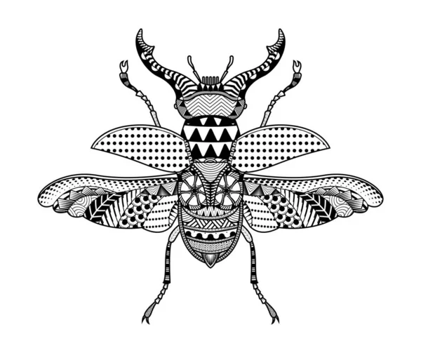 Escarabajo Vectorial Ilustraciones Insectos Dibujados Mano Libro Para Colorear Abstracto — Archivo Imágenes Vectoriales