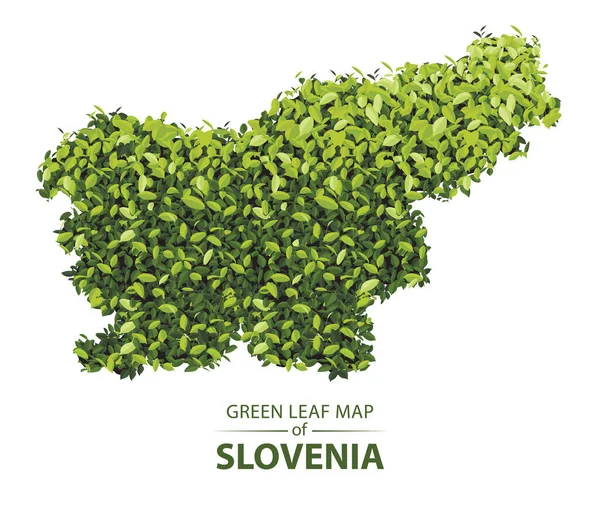 Slovenia Map Composta Folha Verde Sobre Fundo Branco Vetor Ilustração — Vetor de Stock