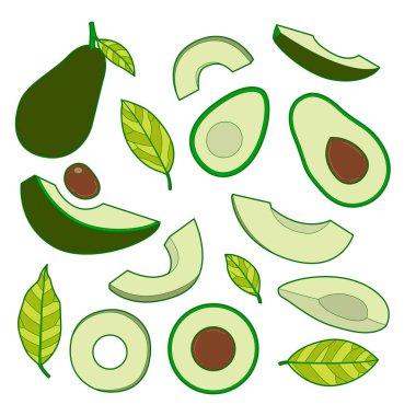 Beyaz arkaplanda izole edilmiş avokado çizimleri.