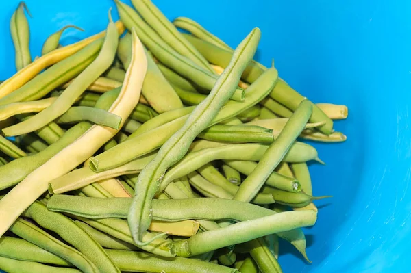 Frijoles verdes frescos a la izquierda de un tazón azul — Foto de Stock