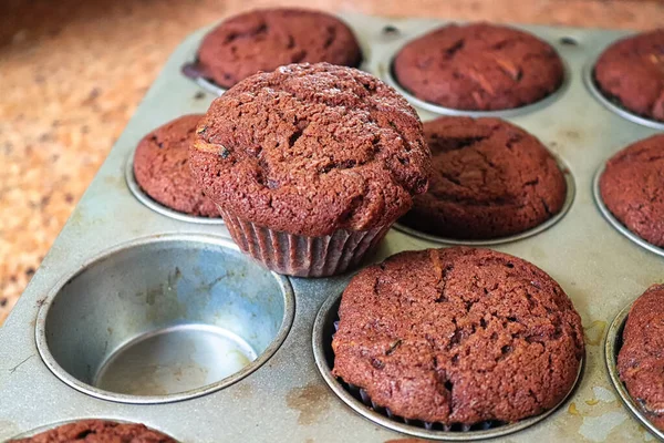 A chocolate zucchini muffin pulled out of a tray — Stock Photo, Image