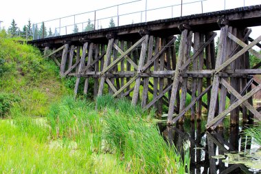 Gölet boyunca uzanan eski bir demiryolu köprüsü.