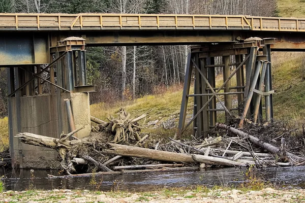 Bir köprünün tabanında toplanan odun yığınları — Stok fotoğraf