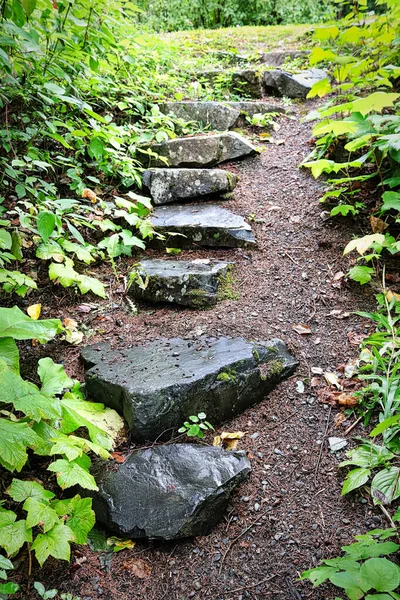 Vertical picture of stepping stone steps in a forest area