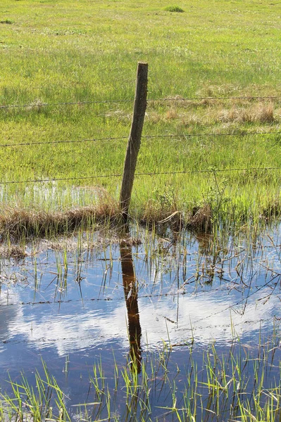 Un pasto verde con agua a lo largo de la valla en la zanja — Foto de Stock