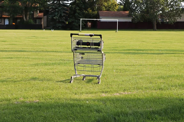 A shopping cart abandoned in a park during summer — Stock Photo, Image