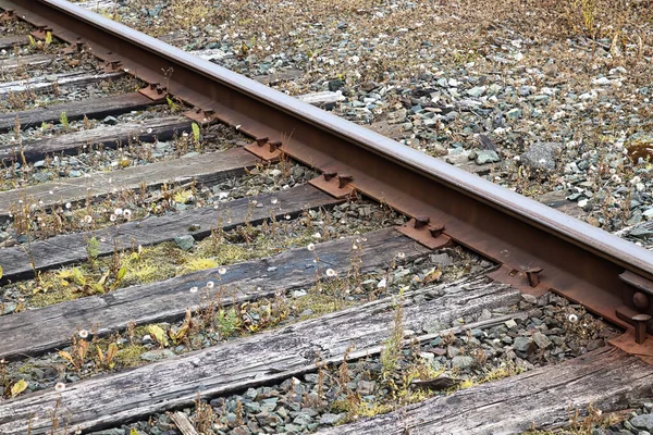 Eski bir tren rayının yan görüntüsü, çiviler, raylar ve uykucular. — Stok fotoğraf