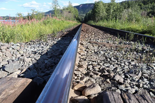 Bir tren rayının parlak üst manzarası.
