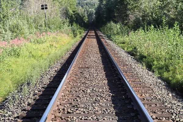 Bir tren rayının perspektif görünümü uzaklığa doğru azalıyor — Stok fotoğraf