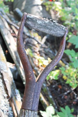 Yosun kaplı bir küreğin sapı.