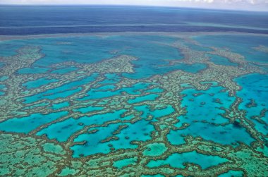 Great Barrier Reef - havadan görünümü